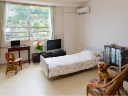 清潔な居室と犬