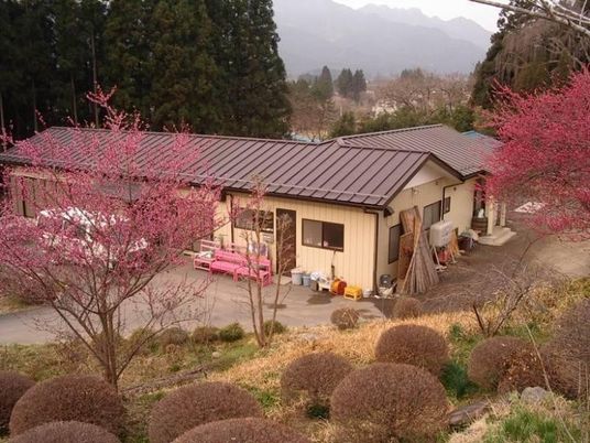 春の建物外観  