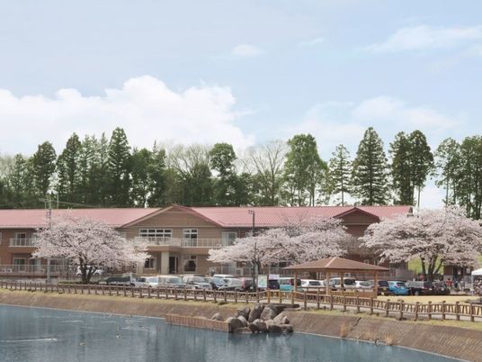 桜並木と建物の外観  