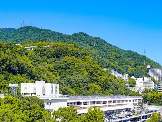 緑に囲まれた建物の外観