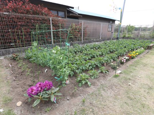 手入れされた施設の庭