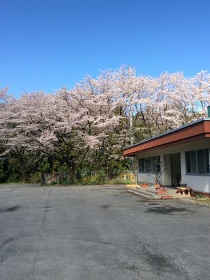 桜に囲まれた建物外観