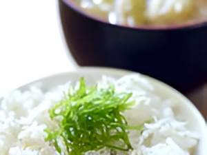 ご飯と味噌汁の食事
