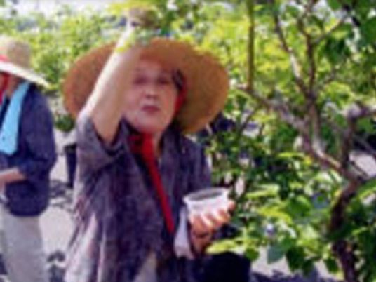 庭で休憩する利用者