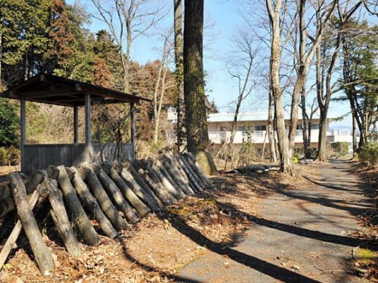 木々に囲まれた道