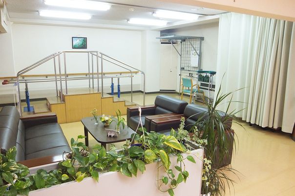 植物が置かれた室内