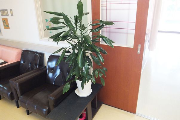 柔らかな光のリビング