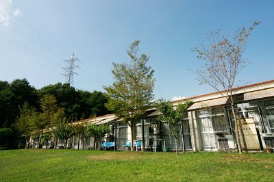 自然に囲まれた庭