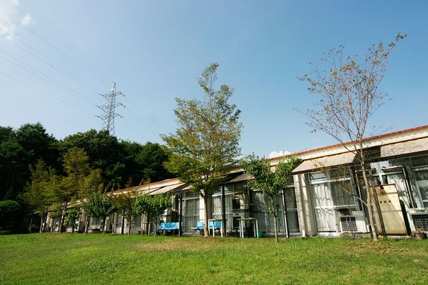 自然に囲まれた庭