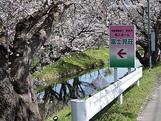 桜並木沿いの看板外観  
