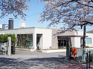 桜に囲まれた建物外観  