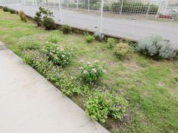 花壇のある中庭  