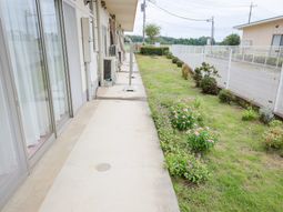 花壇のある通路の庭  