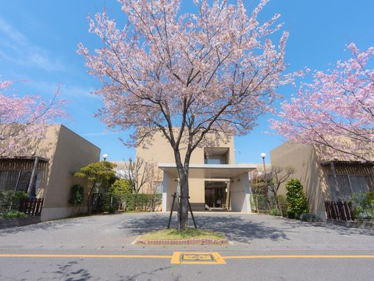 桜並木の外観  