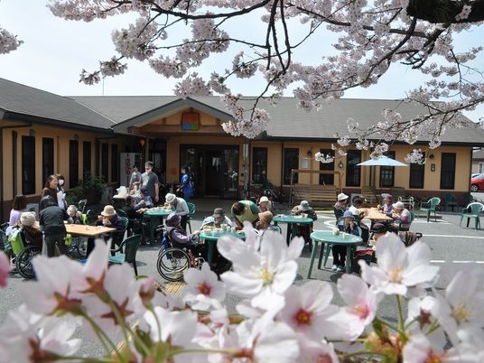 桜の下で過ごすひととき