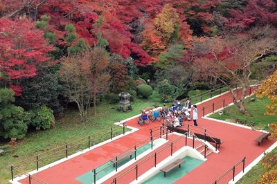 彩り豊かな庭の風景