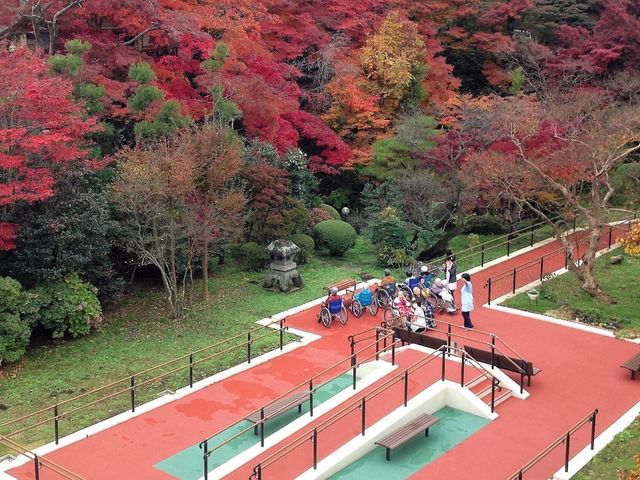 彩り豊かな庭の風景 庭 四季折々の自然を感じられる広々とした庭です。椅子に腰掛け、新鮮な空気と眺望をお楽しみいただけます。