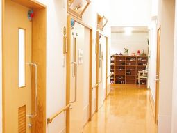 明るく清潔な廊下