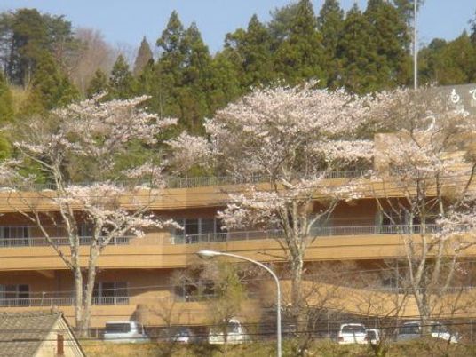 桜のある外観  