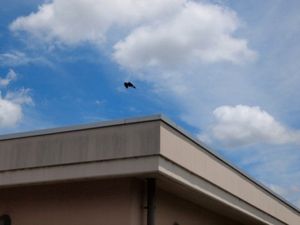 建物の外観  
