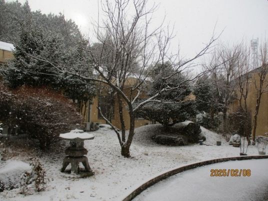 雪景色の中庭  
