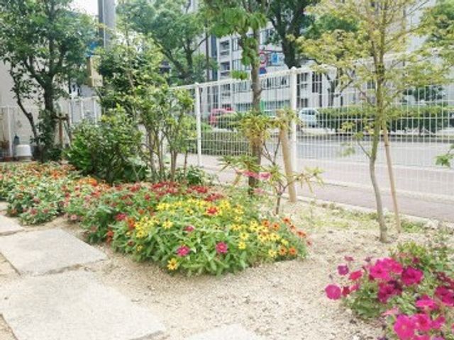 花壇のある庭  