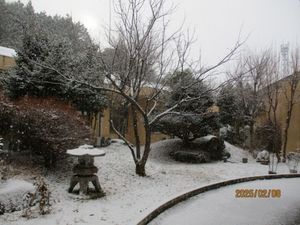 雪の庭  