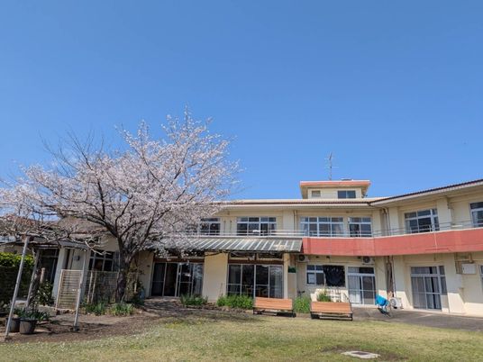 桜のある中庭  