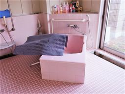 清潔なピンクの浴室