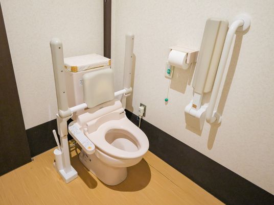手すり付きトイレ  