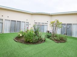 中庭の花壇  