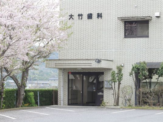 桜が咲く建物外観  