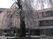 施設外観と桜の木  