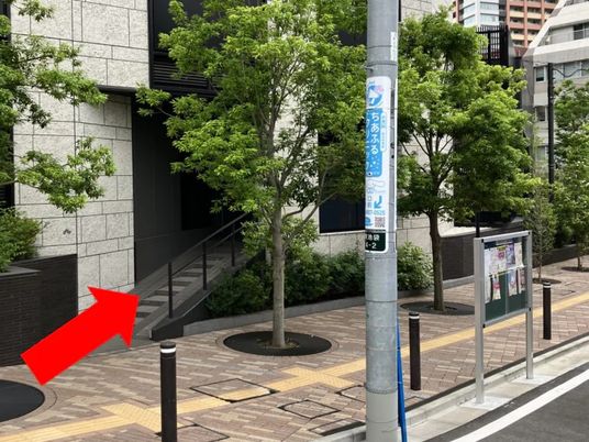 緑のある建物外観  