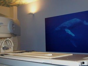 水中映像の機器がある部屋  