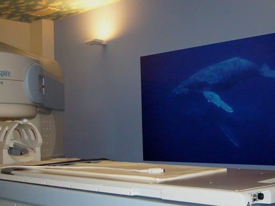 水中映像の機器がある部屋  
