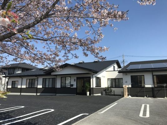 桜に囲まれた外観  