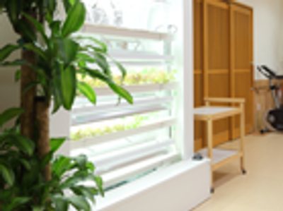 植物と棚のある部屋