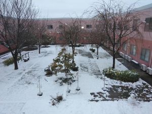 雪の中庭です  