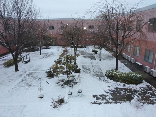 雪の中庭です  