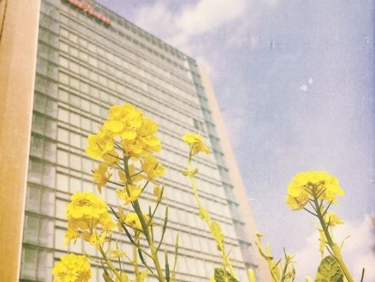 高層建物と花の外観  