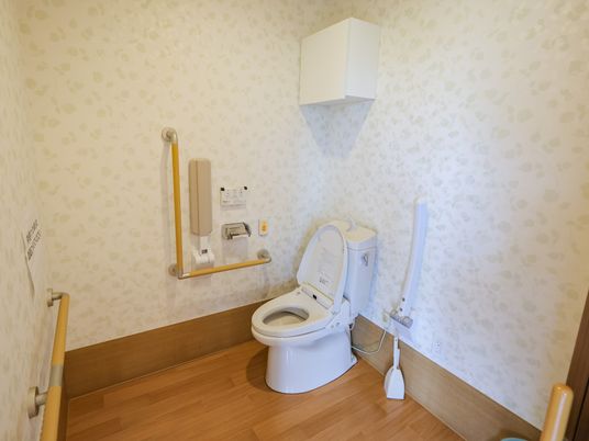 手すり付きトイレ  