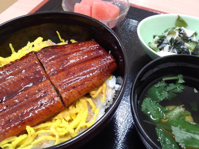 和食の器と食事風景 料理 美味しそうな和食セットが配膳されています。食を通じて楽しさを提供する環境です。