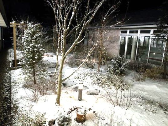 雪の庭  