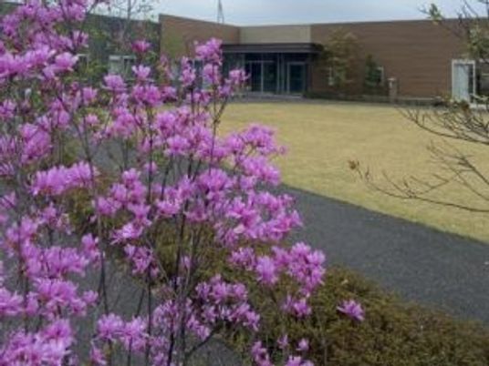 花のある中庭  