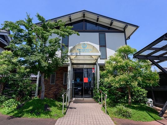 緑に囲まれた建物外観  
