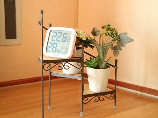 温湿度計と観葉植物のスタンド