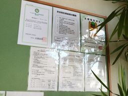 緑の壁に掲示物