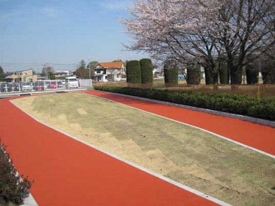 芝生の中庭  