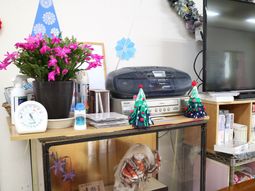 居室のテレビと小物